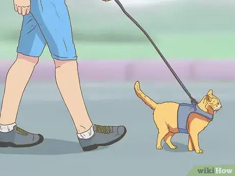 Image intitulée Change an Outdoor Cat Into an Indoor Cat Step 7