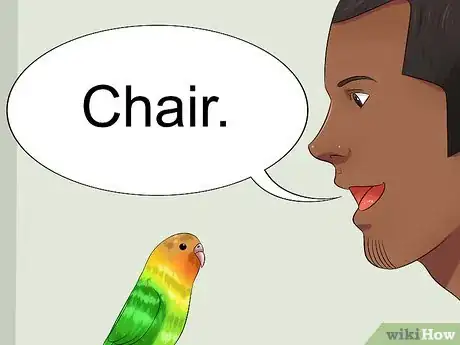 Image intitulée Teach Your Budgie to Talk Step 5