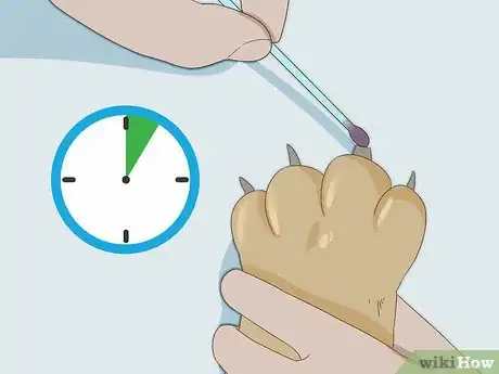Image intitulée Stop a Dog's Quick from Bleeding Step 16