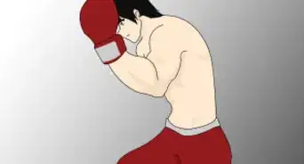 boxer