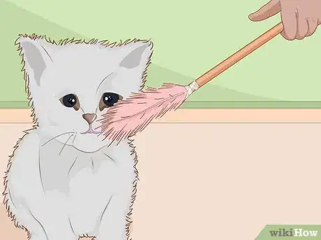 Image intitulée Make Cat Toys out of Common Household Items Step 26