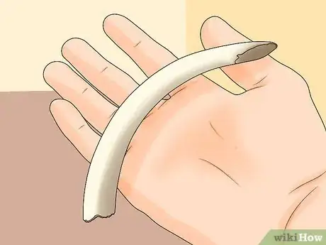 Image intitulée Tell Ivory from Bone Step 1