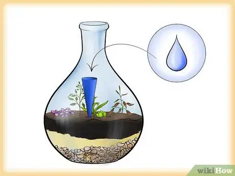 Image intitulée Grow a Garden in a Bottle Step 6