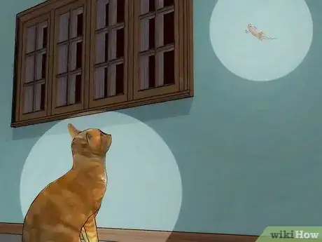 Image intitulée Chase Lizards out of Your House Step 12