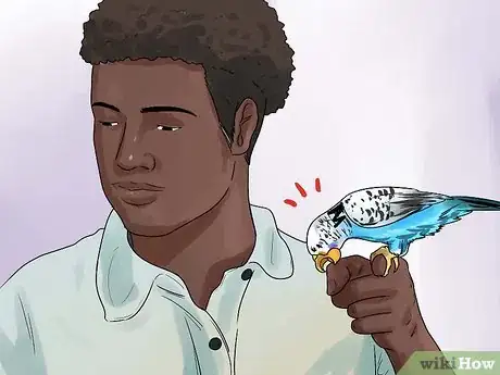 Image intitulée Stop a Budgie from Biting Step 2