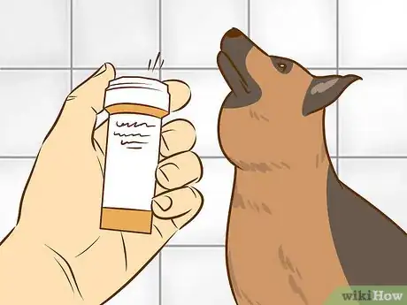 Image intitulée Recognize and Treat Salivary Mucocele in Dogs Step 11
