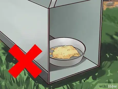 Image intitulée Trap Cats Step 5