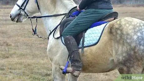 Image intitulée Ride a Horse Step 3