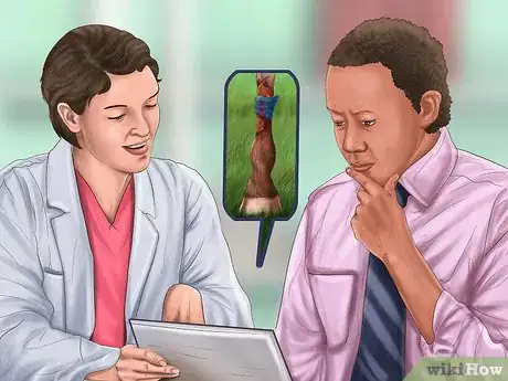 Image intitulée Save an Animal That's Been Hit by a Car Step 22