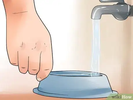 Image intitulée Take Care of a Beagle Puppy Step 13