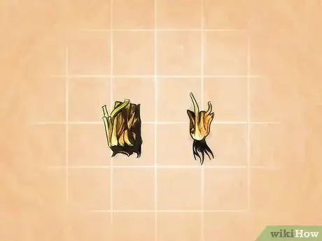 Image intitulée Grow a Venus Flytrap Step 1