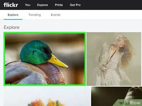 Image intitulée Download Images from Flickr Step 4