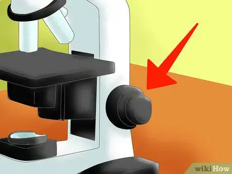 Image intitulée Tell the Difference Between Prokaryotes and Eukaryotes Step 4