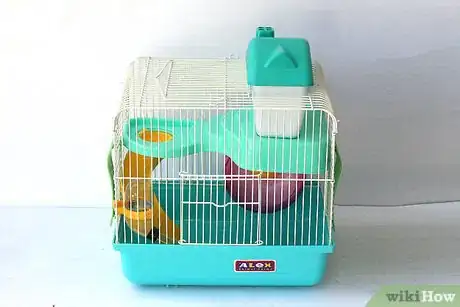 Image intitulée Care for a Hamster Step 13