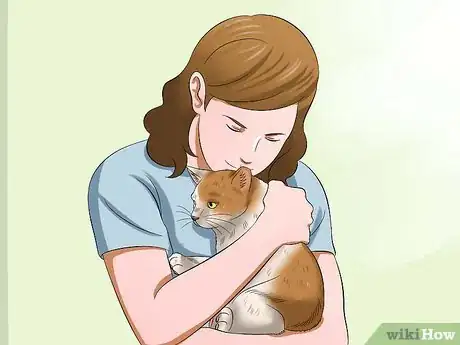 Image intitulée Carry a Cat Step 14
