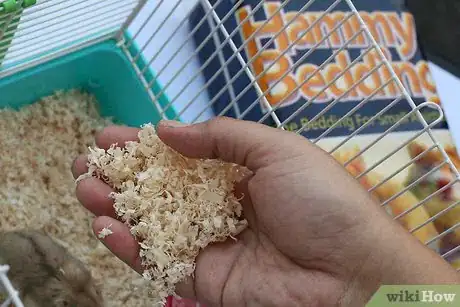 Image intitulée Care for a Hamster Step 28