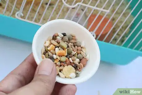 Image intitulée Care for a Hamster Step 22