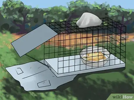 Image intitulée Trap Cats Step 7