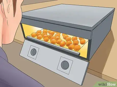 Image intitulée Breed Ducks Step 24