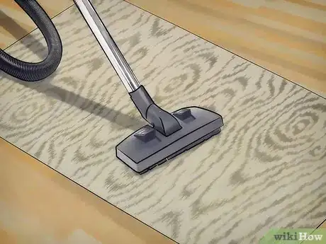 Image intitulée Clean Wool Rugs Step 2