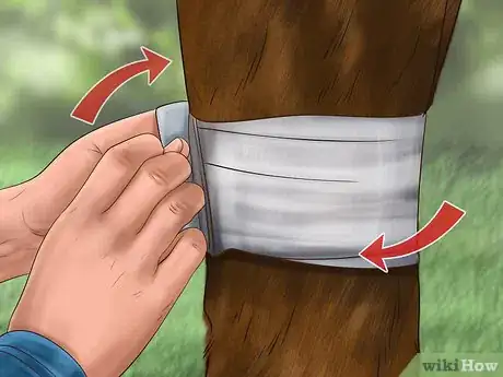 Image intitulée Save an Animal That's Been Hit by a Car Step 13
