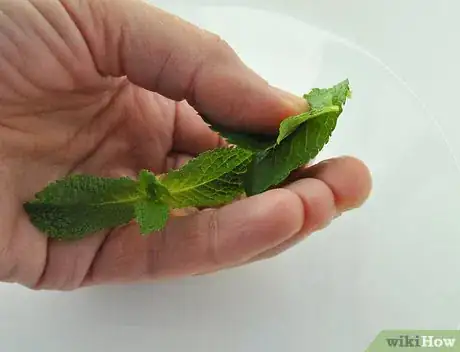 Image intitulée Make a Virgin Mojito Step 5