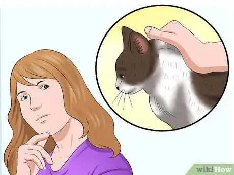 Image intitulée Carry a Cat Step 17