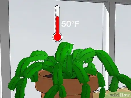 Image intitulée Care for a Christmas Cactus Step 9
