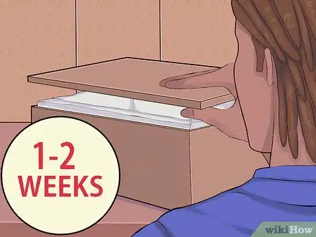 Image intitulée Care for a Hibernating Turtle Step 18