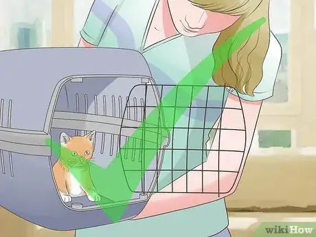 Image intitulée Transport Cats by Plane Step 23