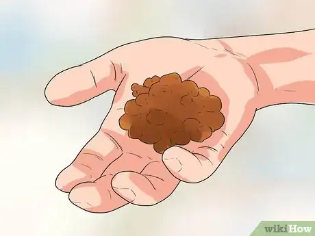 Image intitulée Train Your Dog to Not Run Away Step 2