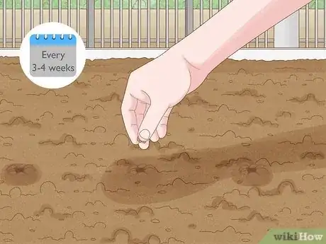 Image intitulée Grow Dill Step 5
