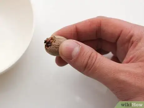 Image intitulée Grate Nutmeg Step 6