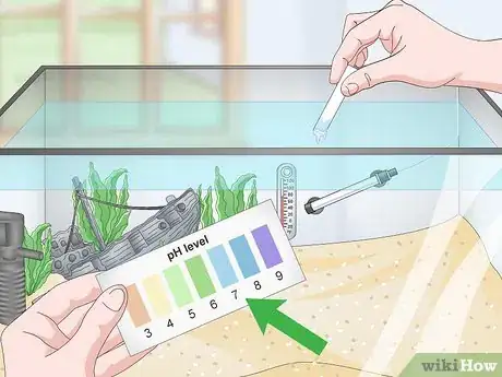 Image intitulée Set up a Tropical Freshwater Aquarium Step 12
