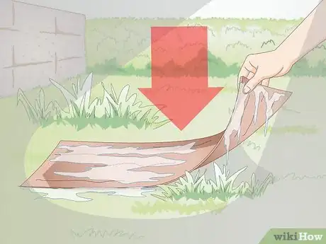 Image intitulée Gather Earthworms Step 5