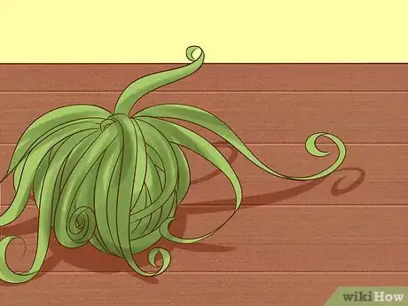 Image intitulée Care for Air Plants Step 4