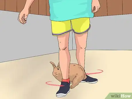 Image intitulée Train a Rabbit Step 12