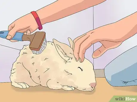 Image intitulée Care for a Rabbit Step 22