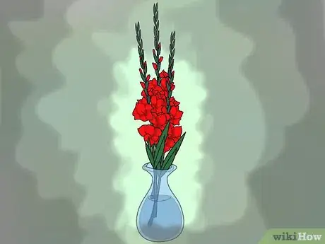 Image intitulée Grow Gladiolus Step 16