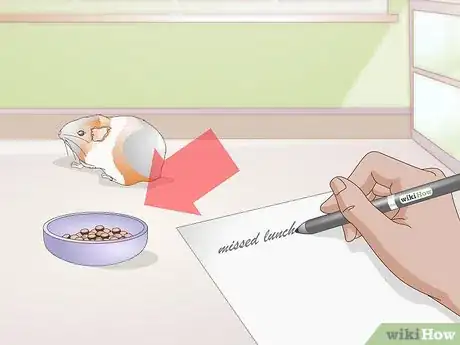 Image intitulée Treat Respiratory Problems in Guinea Pigs Step 3