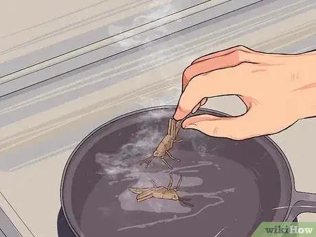 Image intitulée Cook Grasshoppers Step 3