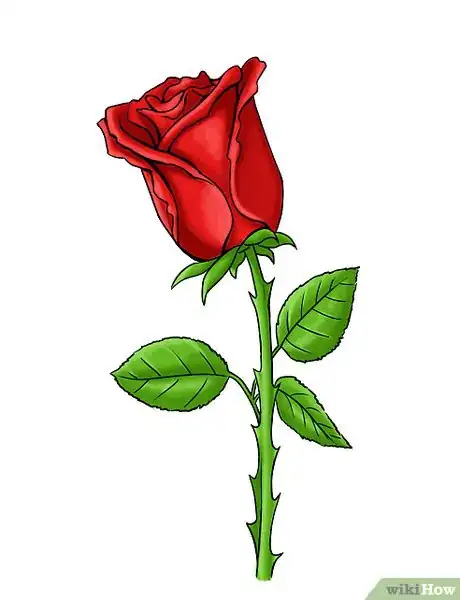Image intitulée Draw a Rose Step 12
