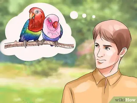 Image intitulée Care for a Lovebird Step 2