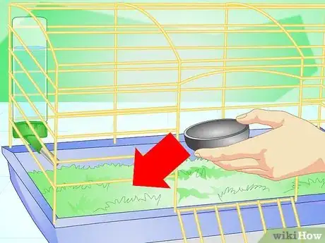 Image intitulée Make Your Guinea Pig Comfortable in Its Cage Step 8