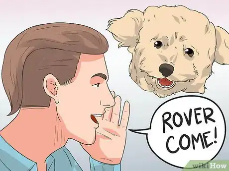 Image intitulée Train Your Dog to Not Run Away Step 3