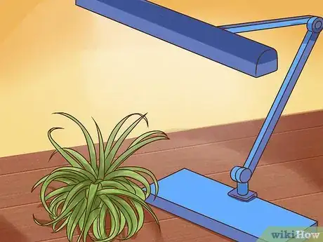 Image intitulée Care for Air Plants Step 6