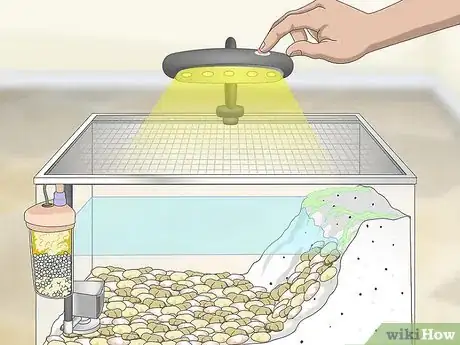 Image intitulée Care for Salamanders Step 8