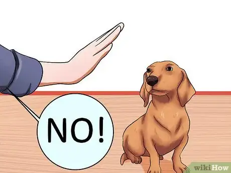 Image intitulée Obedience Train Your Puppy Before It's 10 Weeks Old Step 5