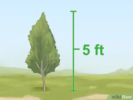 Image intitulée Attract Yellow Finches Step 2