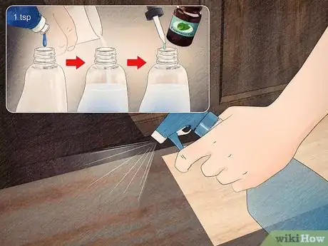 Image intitulée Get Rid of Ants Naturally Step 8